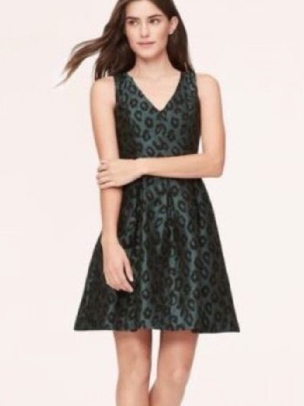 Loft by Ann Taylor Sleeveless green Black Leopard Jacquard Fit & Flare Dress new